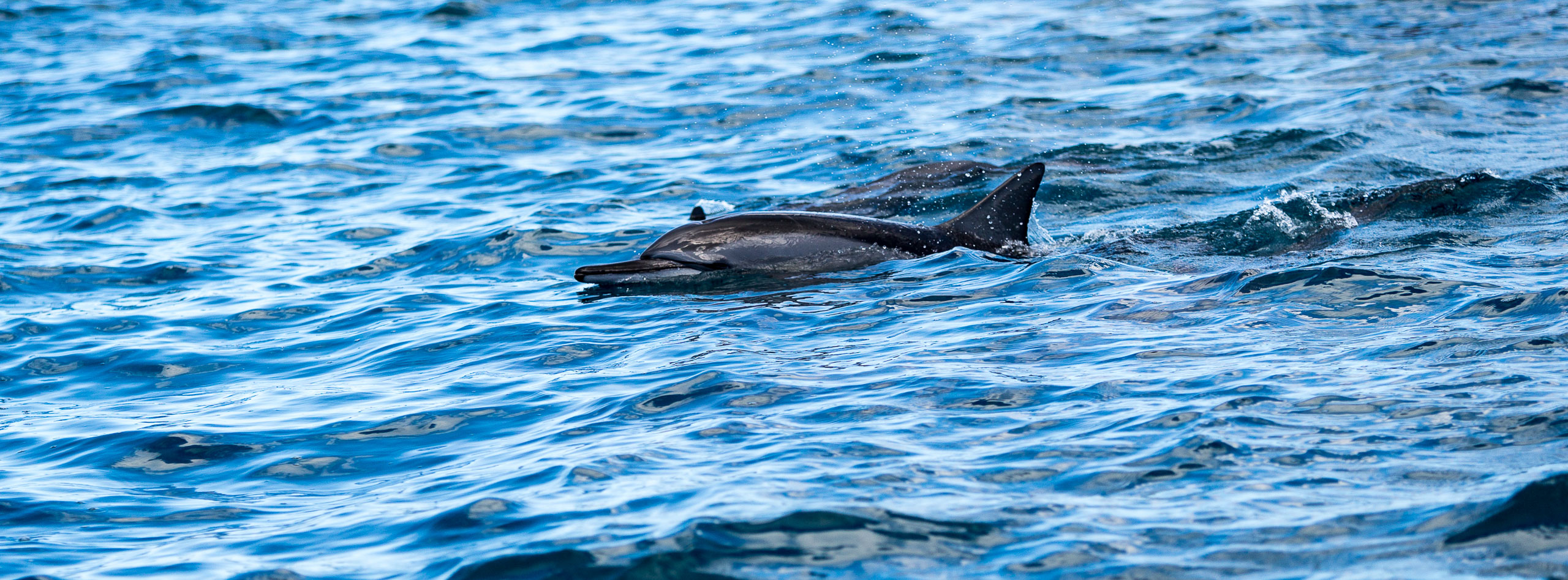 Mauritius - Landscapes