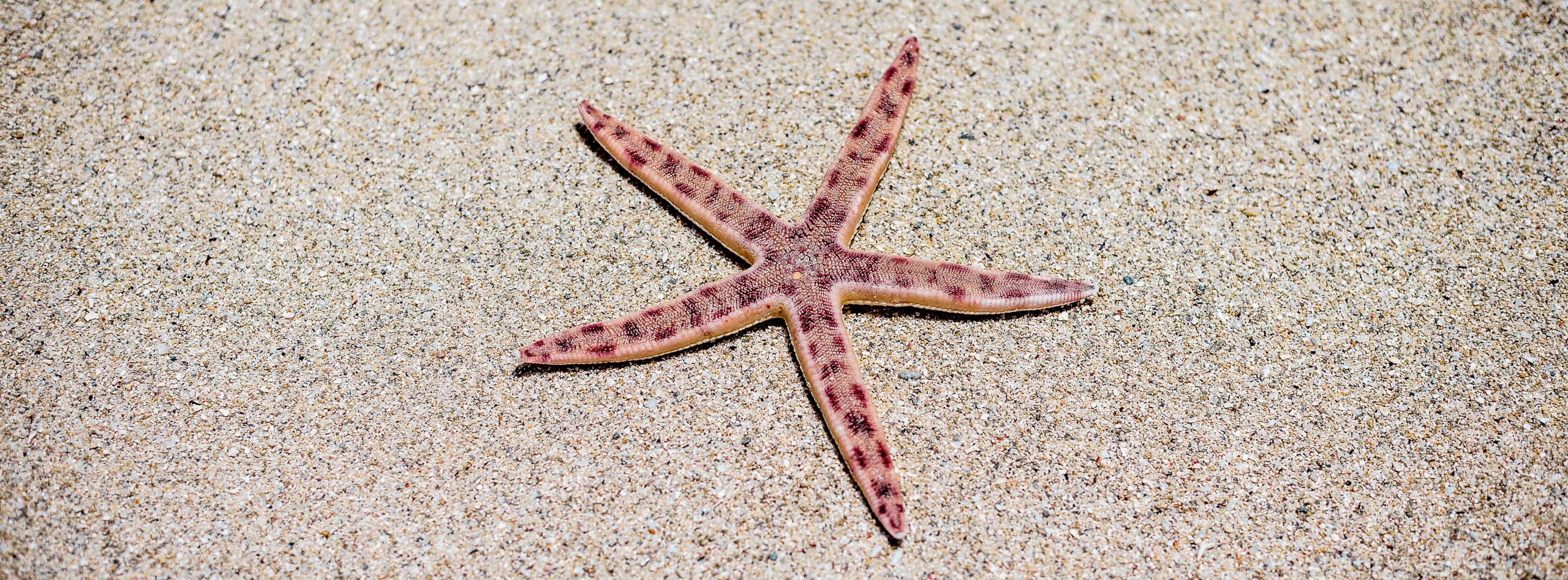 Mauritius - Landscapes