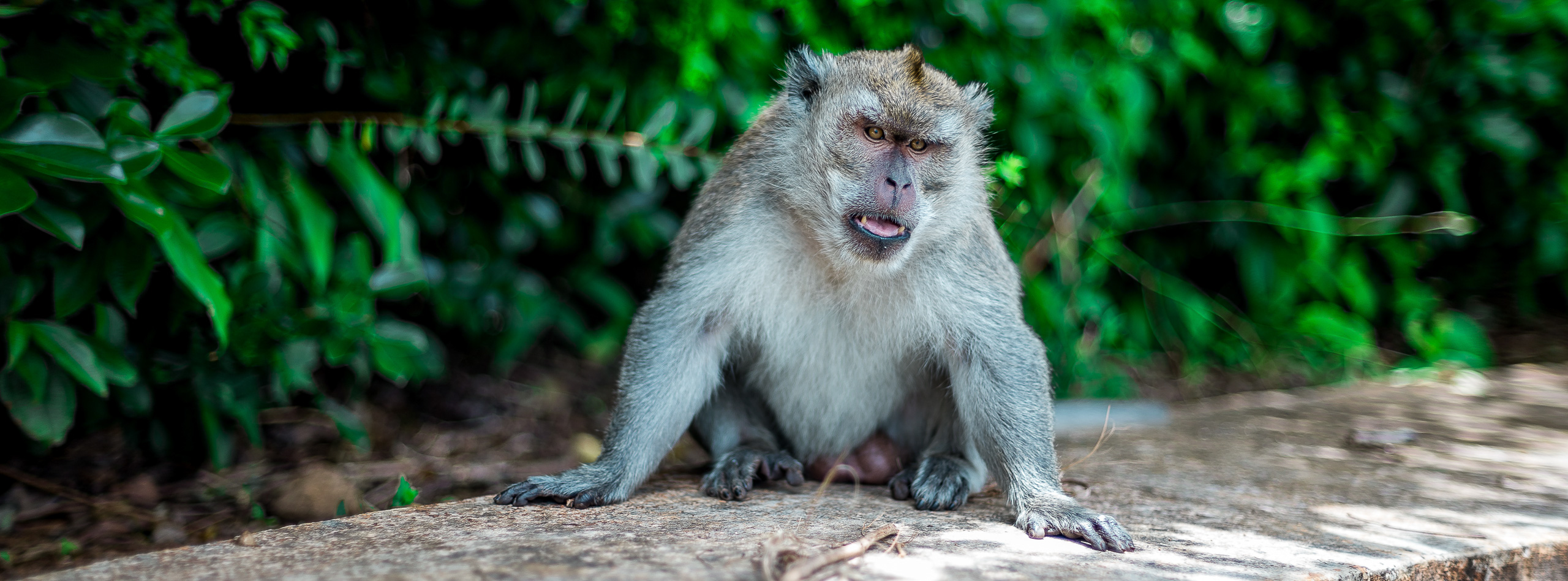 Mauritius - Landscapes