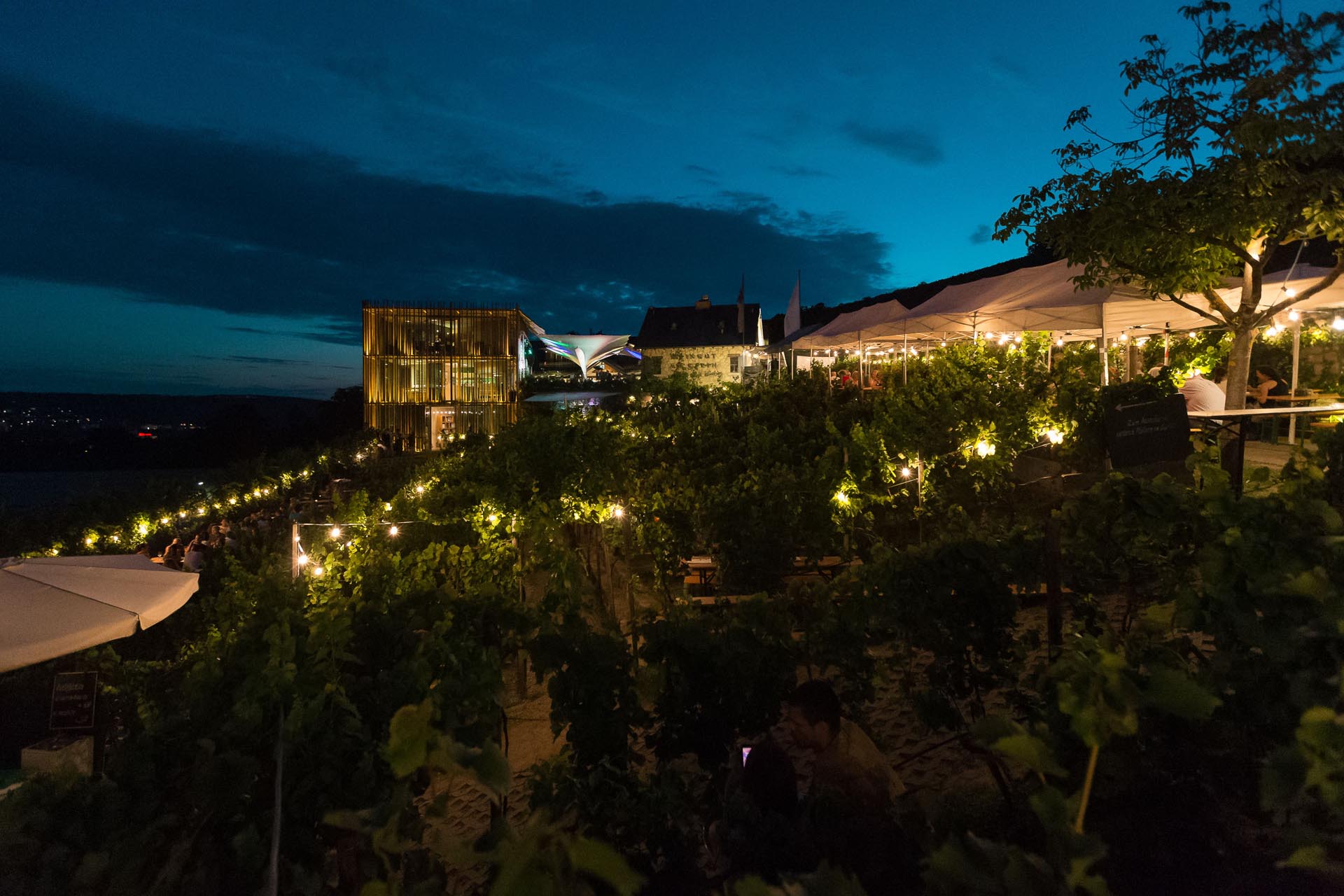 Blaue Stunde im Weingut am Stein in Würzburg © Lightshades - Photodesign by Alfred Stolz