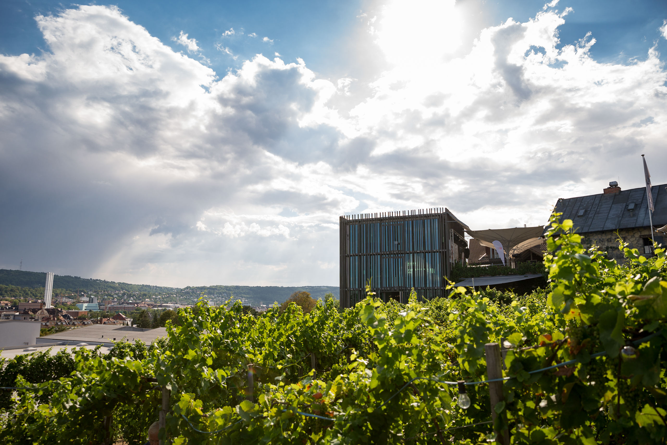 WVV Sommerfest @ Weinstein