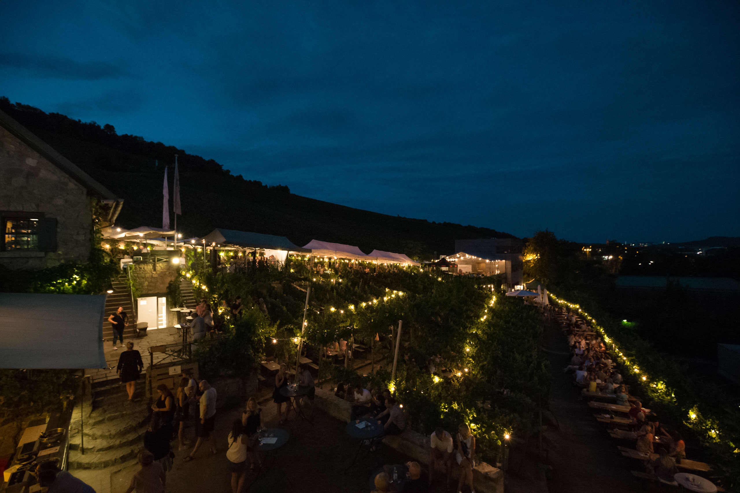 WVV Sommerfest @ Weinstein