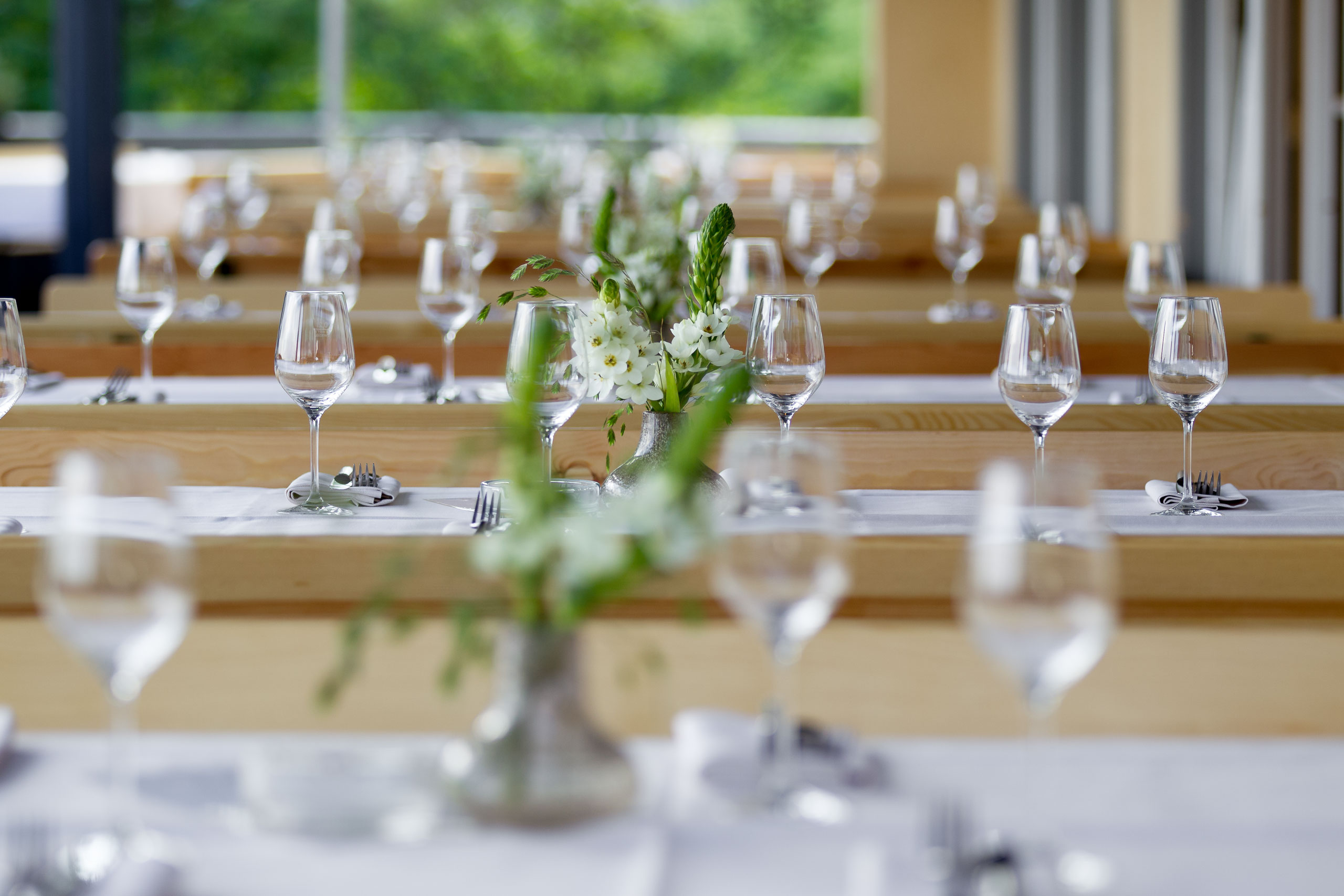 WVV Sommerfest @ Weinstein