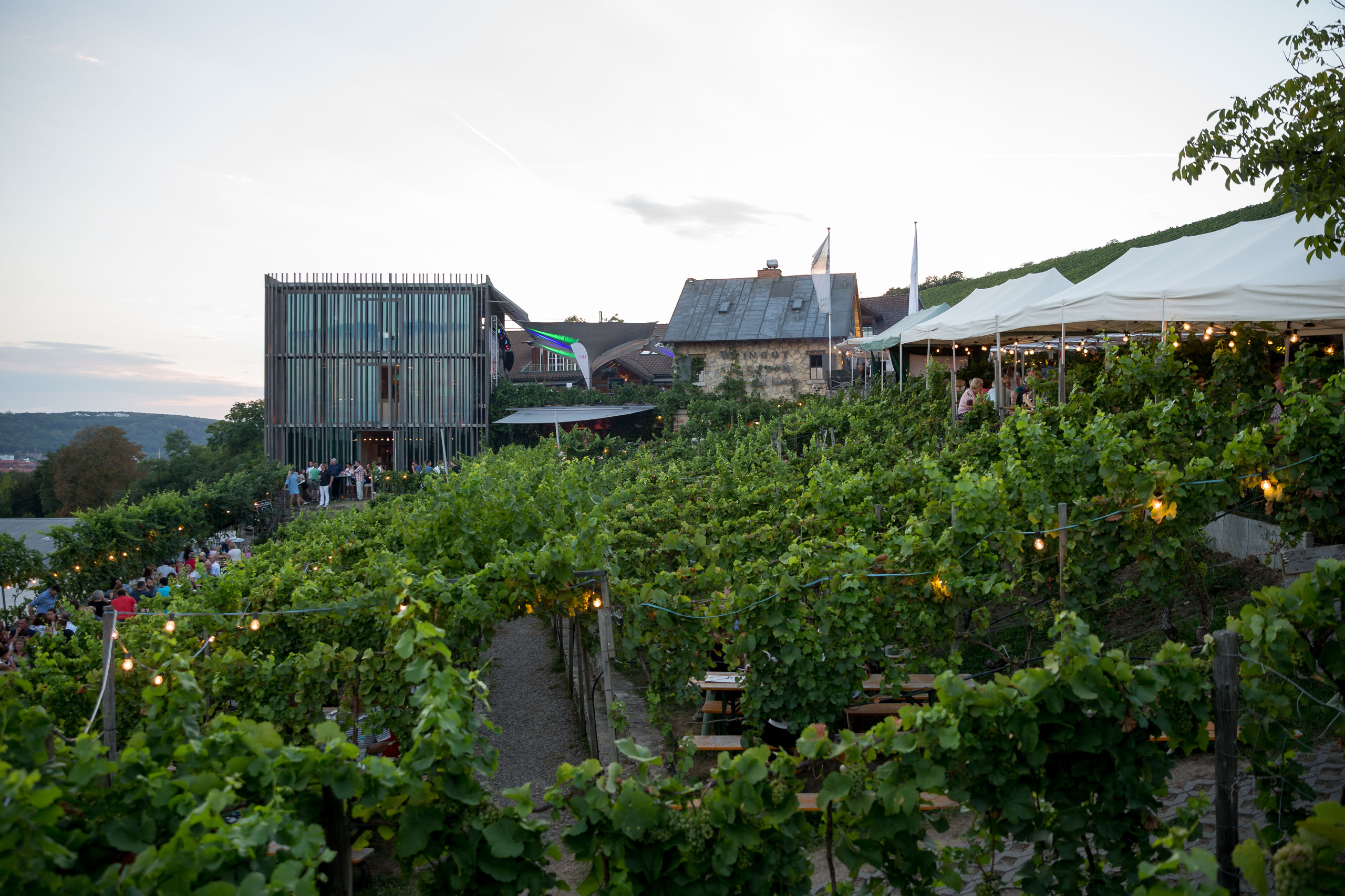 WVV Sommerfest @ Weinstein